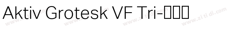 Aktiv Grotesk VF Tri字体转换